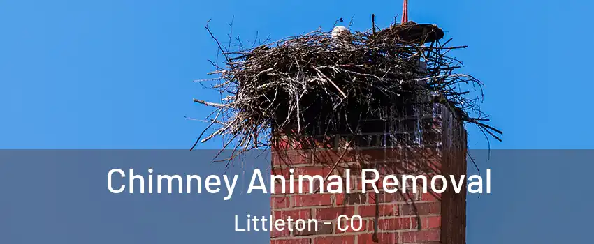 Chimney Animal Removal Littleton - CO