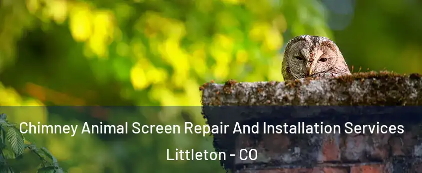  Chimney Animal Screen Repair And Installation Services Littleton - CO