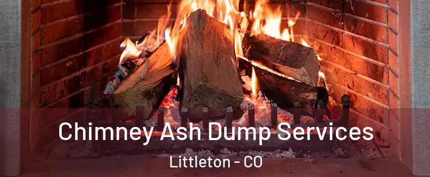  Chimney Ash Dump Services Littleton - CO