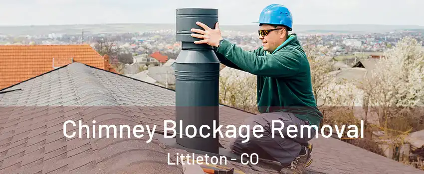  Chimney Blockage Removal Littleton - CO