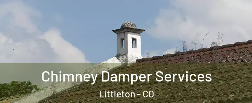  Chimney Damper Services Littleton - CO