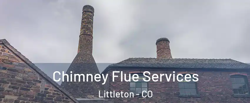  Chimney Flue Services Littleton - CO