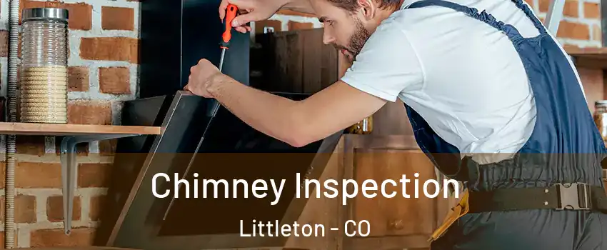  Chimney Inspection Littleton - CO