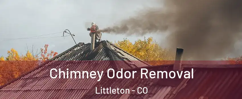  Chimney Odor Removal Littleton - CO