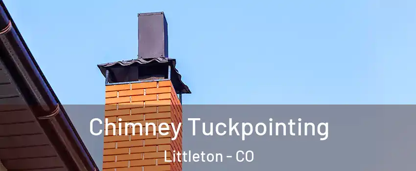  Chimney Tuckpointing Littleton - CO
