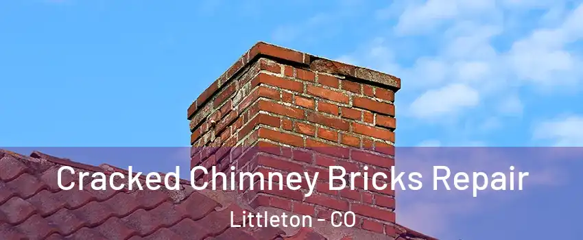  Cracked Chimney Bricks Repair Littleton - CO