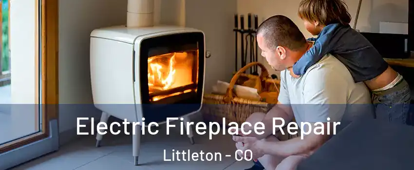  Electric Fireplace Repair Littleton - CO