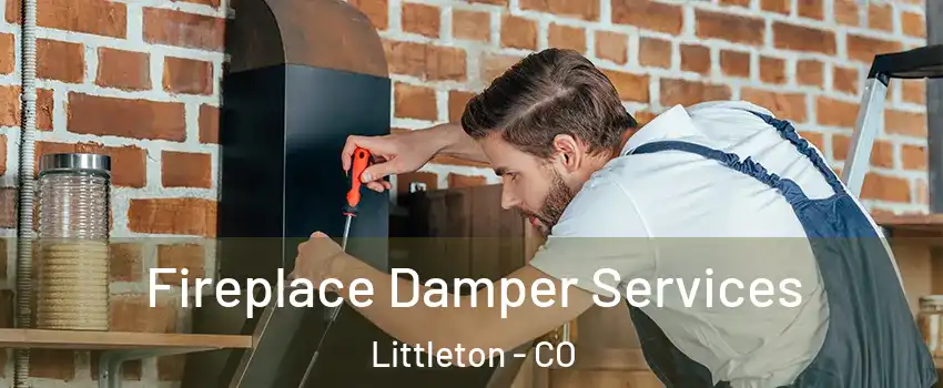  Fireplace Damper Services Littleton - CO