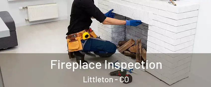  Fireplace Inspection Littleton - CO