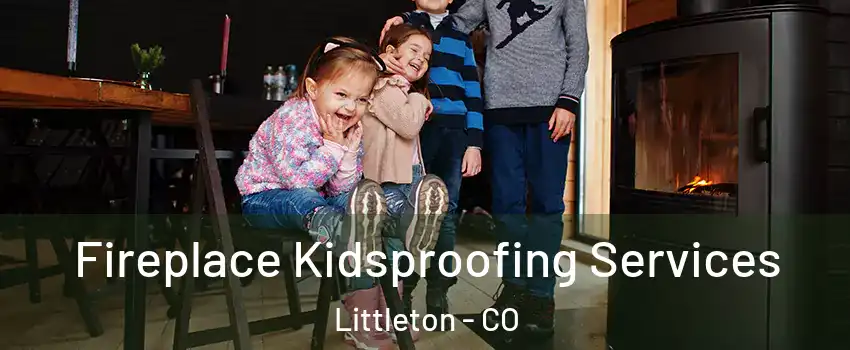  Fireplace Kidsproofing Services Littleton - CO