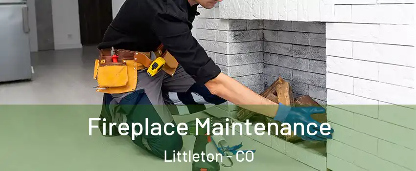  Fireplace Maintenance Littleton - CO