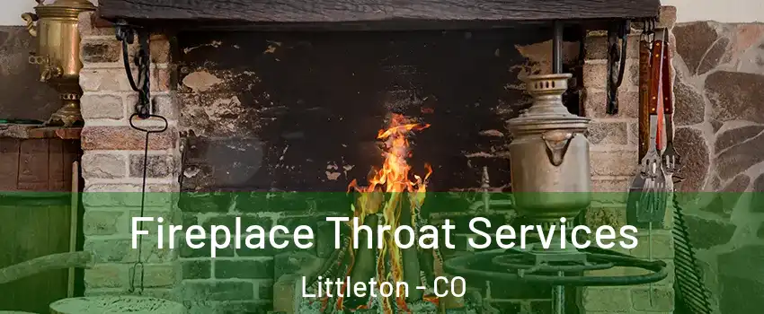  Fireplace Throat Services Littleton - CO