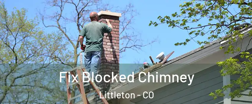  Fix Blocked Chimney Littleton - CO