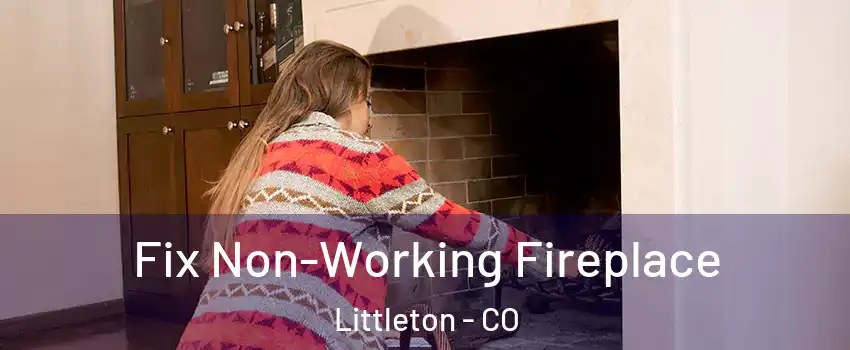  Fix Non-Working Fireplace Littleton - CO