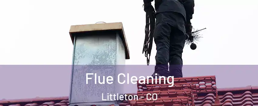  Flue Cleaning Littleton - CO