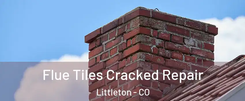  Flue Tiles Cracked Repair Littleton - CO