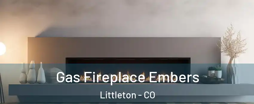  Gas Fireplace Embers Littleton - CO
