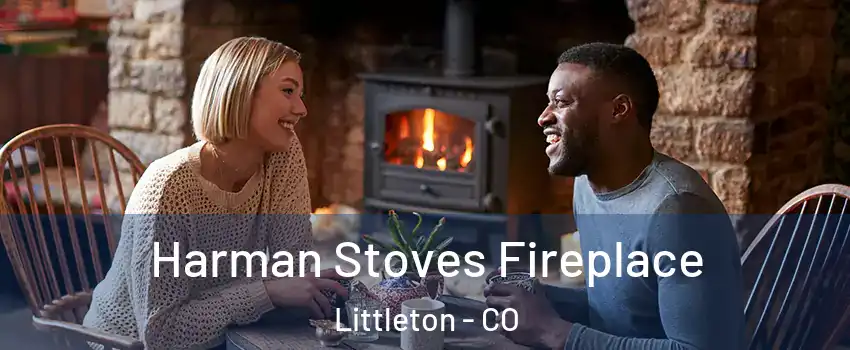  Harman Stoves Fireplace Littleton - CO