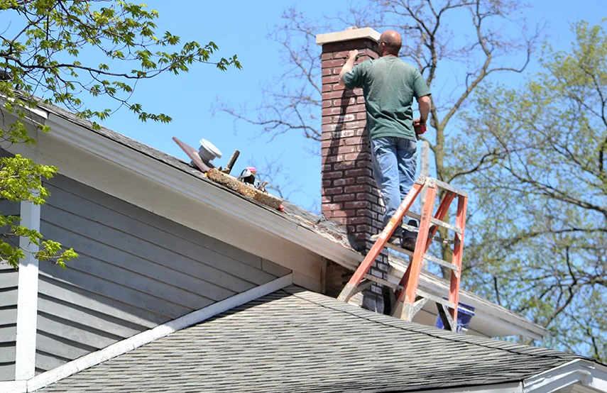 Chimney & Fireplace Inspections Services in Littleton, CO