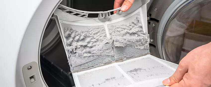 Best Dryer Lint Removal Company in Littleton, Colorado