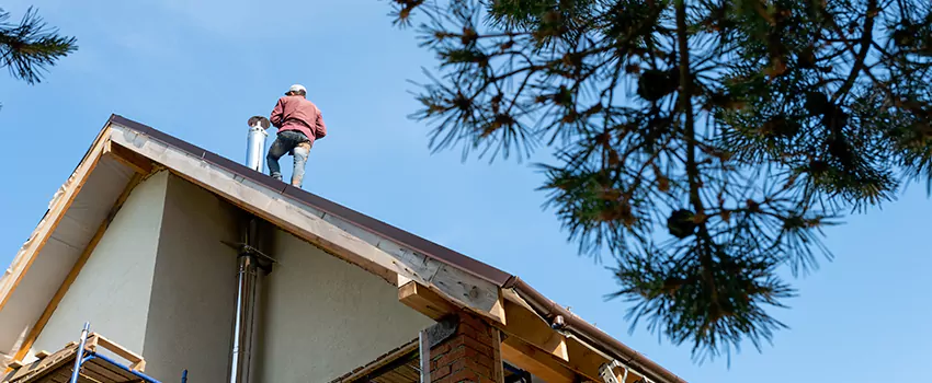 Birds Removal Contractors from Chimney in Littleton, CO