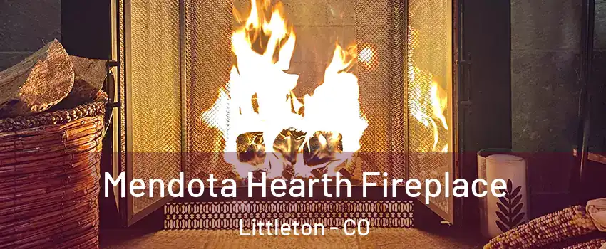  Mendota Hearth Fireplace Littleton - CO