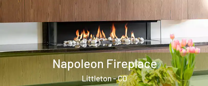  Napoleon Fireplace Littleton - CO