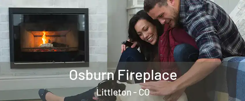  Osburn Fireplace Littleton - CO