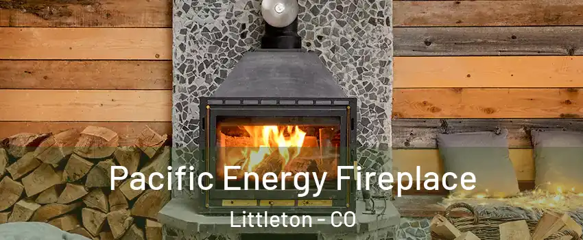  Pacific Energy Fireplace Littleton - CO